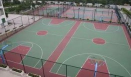 最新爆料篮球场图片大全,最新爆料图片大全赏析